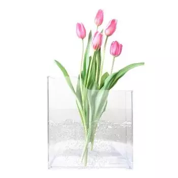 Прозрачная ваза для книг Водные растения Цветы Гидропонные растения Ваза Эстетика Гостиная Спальня Домашний Офис Украшения Подарки для любителей книг чистый