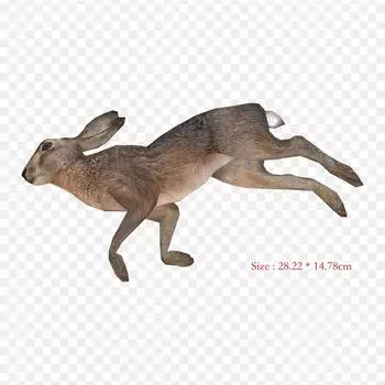 Прозрачные виниловые нашивки с мертвым животным, кенгуру, животное, термопереносная печать, наклейки для одежды, аппликации «сделай сам», моющиеся нашивки