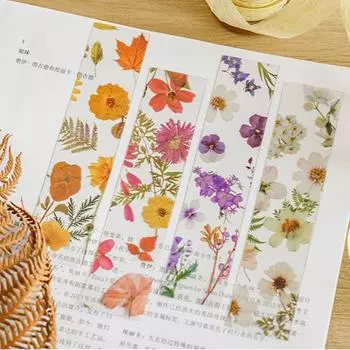 Прозрачные закладки Четыре сезона Цветочные закладки Путешествия Серия Растения и цветы Скрепка для страницы Ученические принадлежности Закладки для чтения