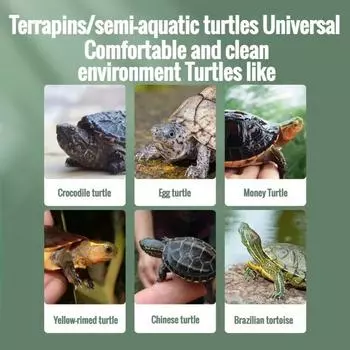 Прозрачный аквариум для черепах, переносной ящик для черепах, террариумы, небольшой аквариум для рыбок, золотых рыбок, рептилий, улиток, ящики для разведения домашних животных, товары для животных прозрачный