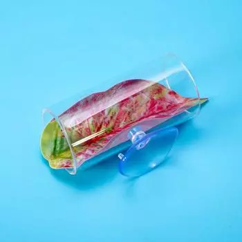 Прозрачный аквариумный туннель-укрытие для рыбки петушка, трубка-туннель, подарки, украшения для аквариума с рыбкой петушком Set 1