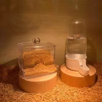 Прозрачный автоматический контейнер для подачи воды в виде птицы и попугая с миской для еды, клеткой, аксессуарами для питья feeder