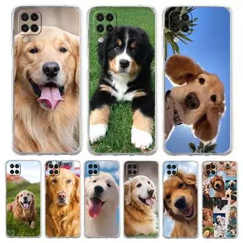 Прозрачный чехол для телефона Samsung Galaxy A13 A51 A71 A21S A12 A11 A31 A52 A41 A23 A53 A73 A32 5G A03S Чехол Золотистый ретривер Друг Samsung A01