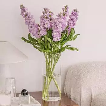 Прозрачный цилиндр, ваза, свадебная вечеринка, обеденный стол, центральное украшение, гидропонный держатель для цветов, прозрачный контейнер, ураган, подсвечник 20cm