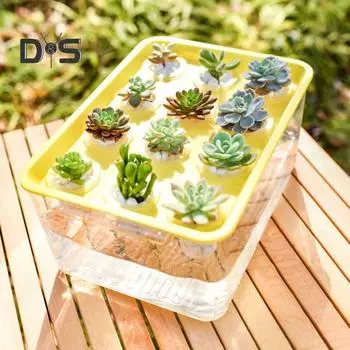 Прозрачный гидропонный ящик для цветов с 12 отверстиями, ручка крышки, пластиковый прямоугольник, гидропонный цветок, держатель для суккулентов, контейнер, настольный аквариум белый