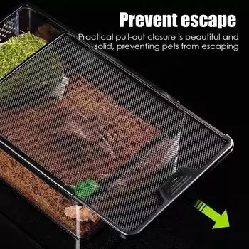 Прозрачный ящик для кормления рептилий с вентилируемым дизайном, контейнер для разведения амфибийных насекомых, террариум с полным обзором, для мелких домашних животных