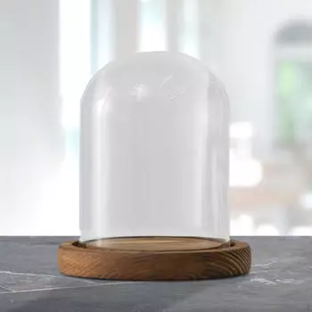 Прозрачный стеклянный колпак-колокол диаметром 3,5 дюйма с прозрачной крышкой, круглый настольный шкаф-витрина с деревянным основанием Style A