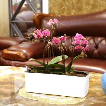 Прямоугольный самополивной прибор с индикатором уровня воды, декор для сада и домашнего стола 15inch White with Water Level Indicator