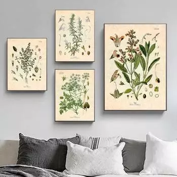 Пряные травы, печать плакатов, петрушка, шалфей, розмарин, тимьян, кулинария, настенная художественная картина, картина на холсте, современная кухня, украшение для дома 21X30cm No Frame