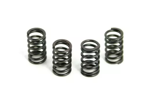 Пружина сцепления SP Takegawa Kyoka TT-R90 02-01-0306