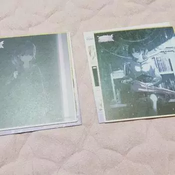 Pseka Mafuyu Цветная бумага Приток Партия Nigo Asahina Mafuyu Prosecca Выживание Побег