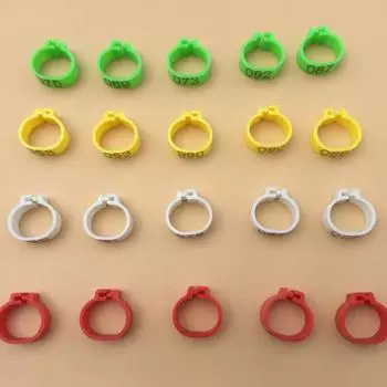 Птица попугай перепел 100 шт пластиковые птицы голуби голуби ноги клипсы кольца браслет 12mm 100pcs красный