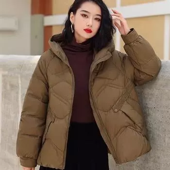 Пуховик с капюшоном женский 2024 зима литературный и художественный ретро новый корейский вариант свободный однотонный средней толщины белый утиный пуховик One Size чёрный