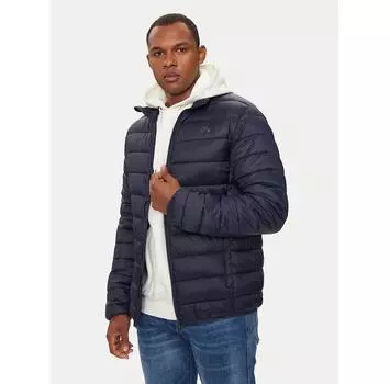 Пуховик Whistler Leopold W181139 синий Regular Fit M