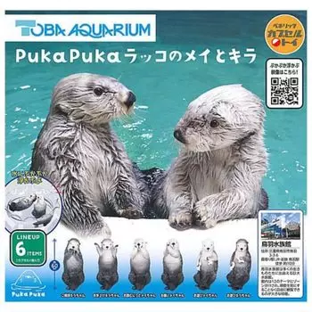 PukaPuka Sea Otter Mei and Kira x Все 6 типов, полный комплект, игрушка-капсула Gacha Gacha