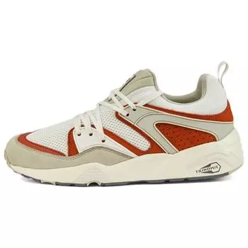 Puma Blaze Of Glory Vaporous Grey Warm Chestnut Мужские кроссовки Коричневые 387575-03 44