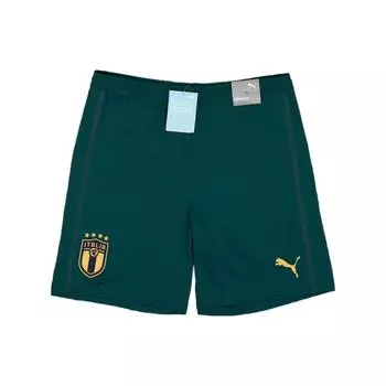 Puma Прямые повседневные футбольные брюки 2019-2021 Италия Player Edition темно-зеленые мужские брюки 756438-03 XL