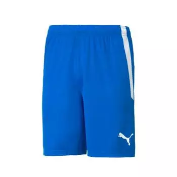 Puma Шорты Teamliga 70492402 Шорты 090/70492402
