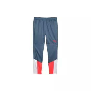 Puma Штаны для тренировок с индивидуальными чашками, цветные, эластичный пояс, прямые трикотажные спортивные штаны, мужские брюки, темно-синий цвет 658487-53 L