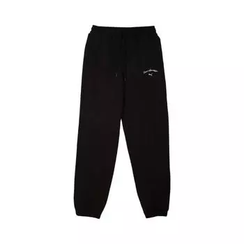 Puma Спортивные штаны Legacy Sports женские, черные 632537-01 S