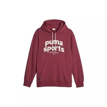 Puma Толстовка с капюшоном Team с принтом букв, с длинным рукавом, мужская толстовка с капюшоном, бордовая 625313-22 S