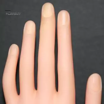 Puntos Nail Art Сгибаемое настольное крепление Мягкая модель для маникюра Учебная искусственная рука one size