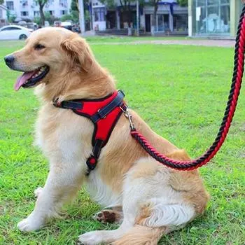Purple Pet Puppy Large Dog Medium Dog Шлейка + поводок L-типа, комплект XL, 1 комплект, красный