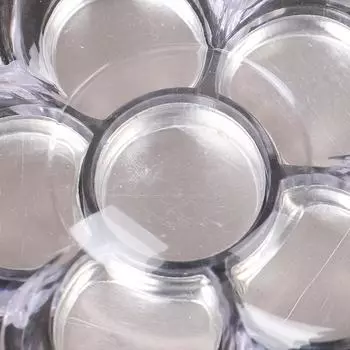 Пустые лепестки Дизайн Тени для век Помада Коробка для хранения Чехол Косметическая упаковка Палитра