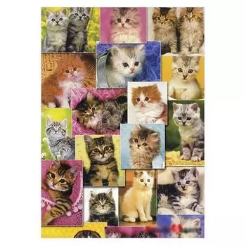 Puzzle Life Милая кошачья семья, 21x28,5 см, 1 часть, популярные корейские пазлы