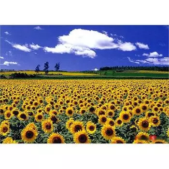 Puzzle Life Подсолнух Обычный пазл из 500 деталей, популярные корейские пазлы