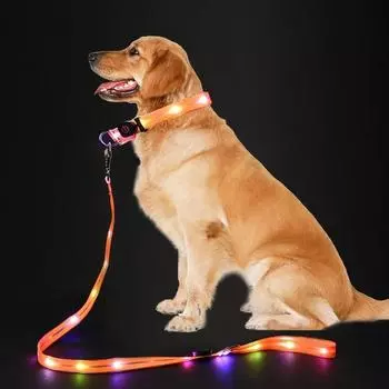 PVC Glowing Led Dog Leash USB Rechargeable With Webbing Glowing Adjustable Dog Flashing Collar Keep Your Pets Safe In Darkness W2.5cm L120cm