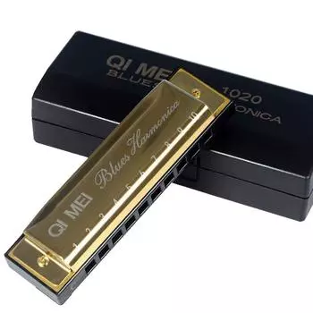 QIMEI Blues Harmonica 10 24 28 отверстий из нержавеющей стали C Key High Airtight Set Case 10 для начинающих/продвинутых (Золото, Дырки) золотой