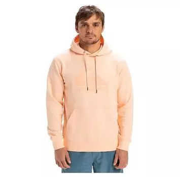 Quiksilver Comp Logo худи S