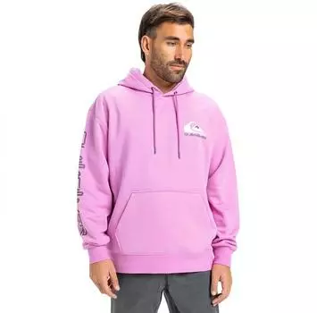 Quiksilver Omni Logo худи M