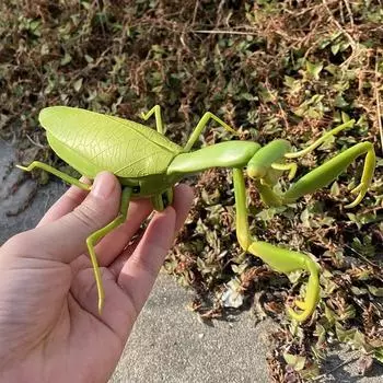 Радиоуправляемые игрушки с дистанционным управлением в виде животных, игрушка-насекомое, инфракрасная имитация летающего богомола, электрические игрушки для мальчиков, шалости, насекомые, Хэллоуин, дети