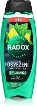 Radox Refreshment Gel Douche Rafrachissant Pour Homme TU прозрачный