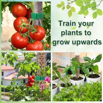 Рама для лазания по мху из 4 шт., 23,6/15,7 дюйма, многоразовая пластиковая рама для растений, подходящая для выращивания вьющихся растений в цветочных горшках