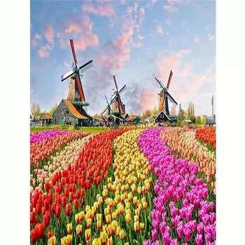 Рамка 5D алмазная живопись тюльпан ветряная мельница фотографии стразами пейзажная вышивка мозаичный декор для дома 30x40 см 30x40cm NO Frame
