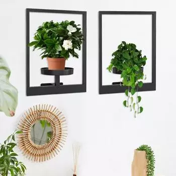 Рамка для фотографий настенный держатель для растений прочная металлическая настенная рамка стенд для растений