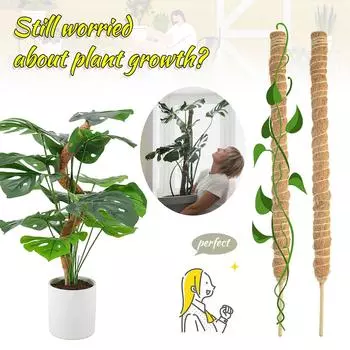 Рамка для лазанья по растениям Кокосовая скорлупа Мох Пальмовая трость Садоводство Кокосовый стержень Растягивающийся столб для скалолазания Комнатное растение Лиана 60cm