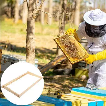 Рамка для пчелиного улья, основа для пчелиного гнезда, хранилище меда для кормления и наблюдения, гнездование пчел