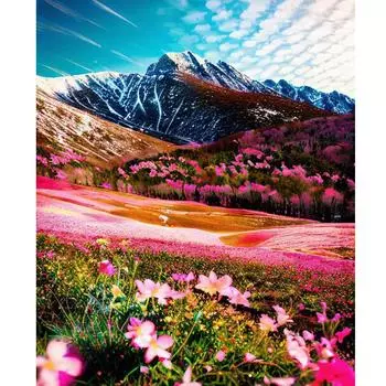 Рамка для рисования по номерам для взрослых, стартовые наборы, горные цветы, пейзаж, картина с номерами для украшения дома, 40x50 40x50cm NO Frame