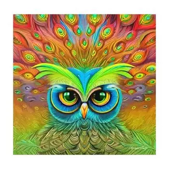 Рамка для рисования по номерам для взрослых, наборы, красочные животные, стартовый набор, сова, подарок «сделай сам», для дома, настенная художественная картина 40x40 40x40cm NO Frame