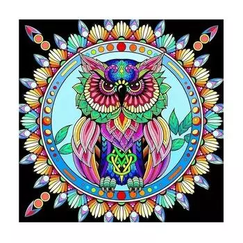 Рамка для рисования по номерам для взрослых, современная настенная художественная картина, картина с птицами и животными, наборы для рисования по номерам для подарка «сделай сам», 40x40 40x50cm NO Frame