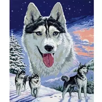 Рамка для рисования по номерам для взрослых, стартовый набор, волк, ручная работа, раскраска по номерам, животные для дома, настенное искусство 40x50 40x50cm NO Frame