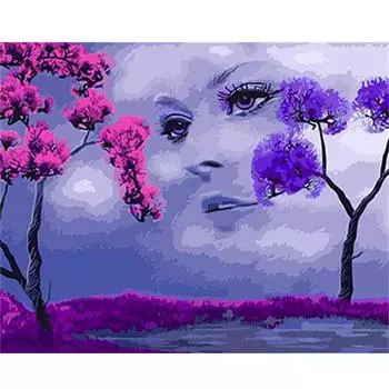 Рамка для рисования по номерам, наборы для взрослых, наборы для женщин, дерево, поделки своими руками, акриловая краска на холсте для домашнего декора 40x50 40x50cm NO Frame