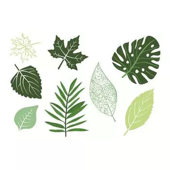 Рамка с кленовым листом, прозрачные силиконовые прозрачные штампы, печать для альбома «сделай сам», скрапбукинг, бумажные карты, декоративные листы