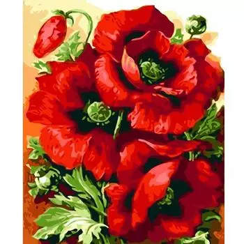 Рамка с красными цветами, картина по номерам для взрослых, комплект, ручная роспись, подарок «сделай сам», краска на холсте для настенной живописи, домашний декор 40x50 40x50cm NO Frame
