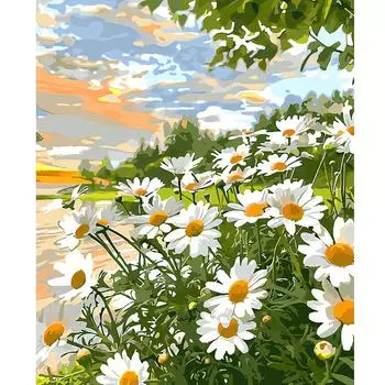 Рамка «сделай сам», акриловая краска по номерам для стартовых наборов, ромашка, ремесла, картина по номерам, цветы для домашнего декора 40x50 40x50cm NO Frame
