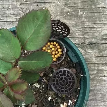 Распылитель для полива бутылок с удобной ручкой для домашнего использования в саду озеро синий